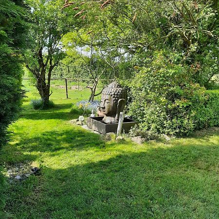 Un Petit Coin De Paradis 2 Clairfontaine 外观 照片
